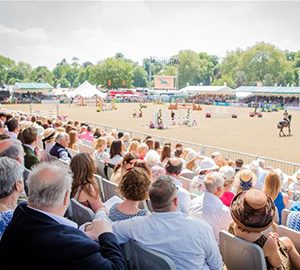 Horse Show