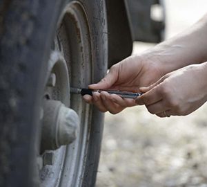 Maintenance of horsebox