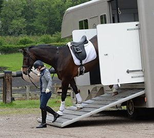 Buying a second-hand horsebox
